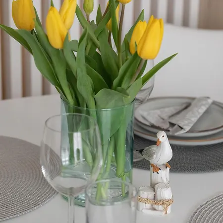 Apartment Baltic Marina With Balcony & Pet Friendly By Renters